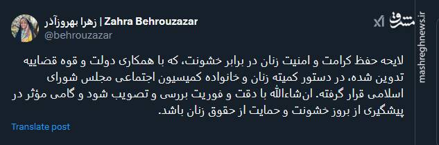 لایحه حفظ کرامت و امنیت زنان؛ گامی مؤثر در پیشگیری از بروز خشونت و حمایت از حقوق زنان