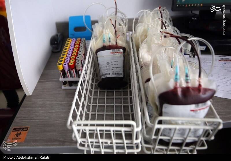 عکس / نذر خون به نیت سردار دلها 16