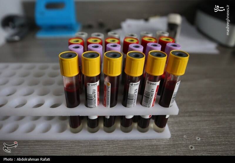 عکس / نذر خون به نیت سردار دلها 9