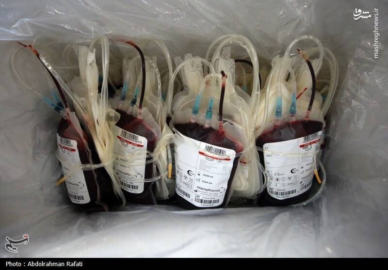 عکس / نذر خون به نیت سردار دلها 20