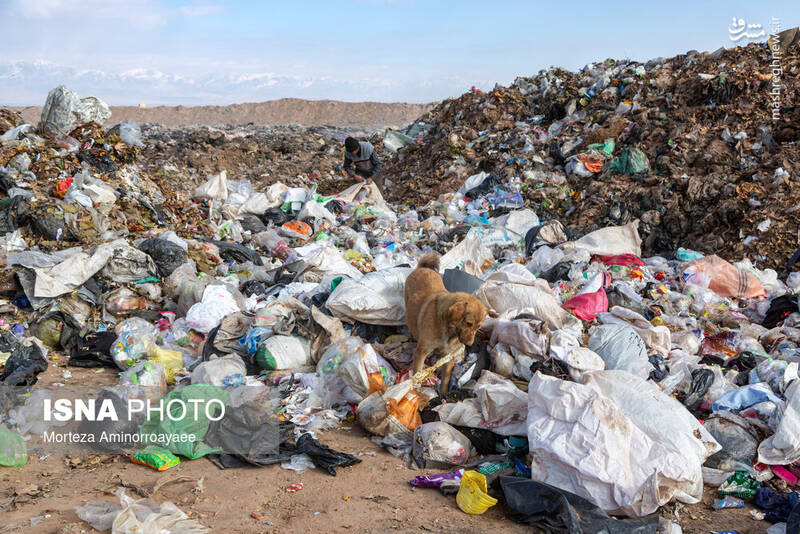 عکس / فاجعه زیست محیطی در زباله‌گاه نیشابور