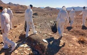 ابتلای 1051 نفر در کشور به تب دنگی / صید پشه آئدس در 9 استان