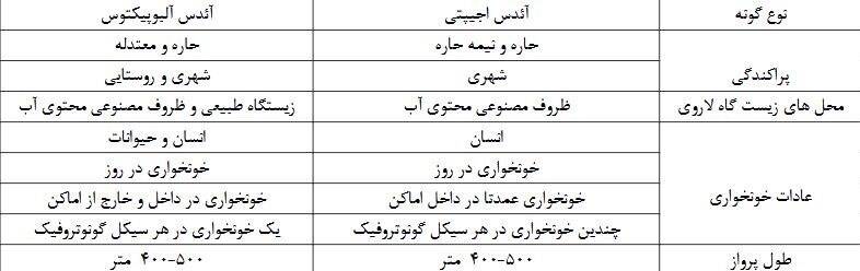 ابتلای ۱۰۵۱ نفر در کشور به تب دنگی/ صید پشه آئدس در ۹ استان