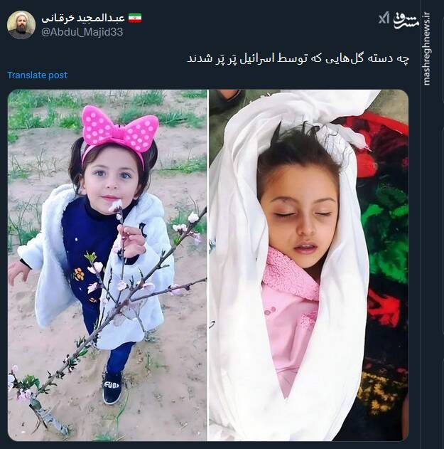 چه دسته گلهایی که توسط اسرائیل پَر پَر شدند+ عکس