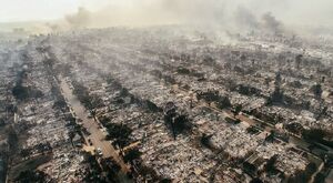 آتشسوزیهای کالیفرنیا میزبانی از المپیک را زیر سوال برد