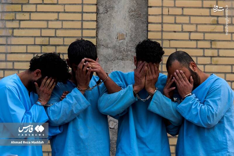 عکس / سارقین حرفهای در دام پلیس فارس 10