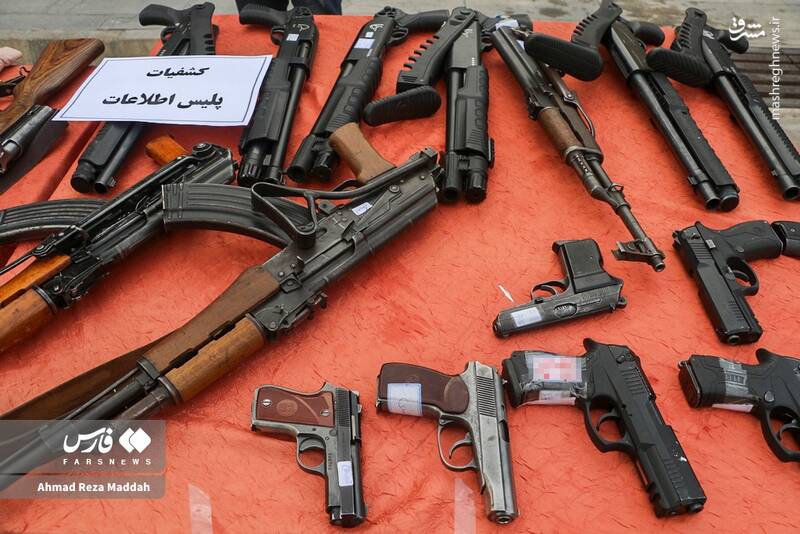 عکس / سارقین حرفهای در دام پلیس فارس 7