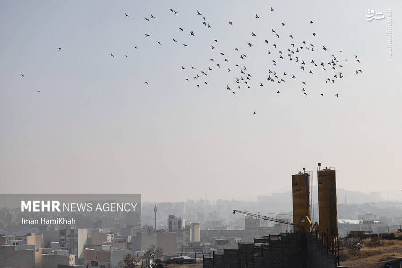 عکس / پدیده آلودگی هوا در همدان 23