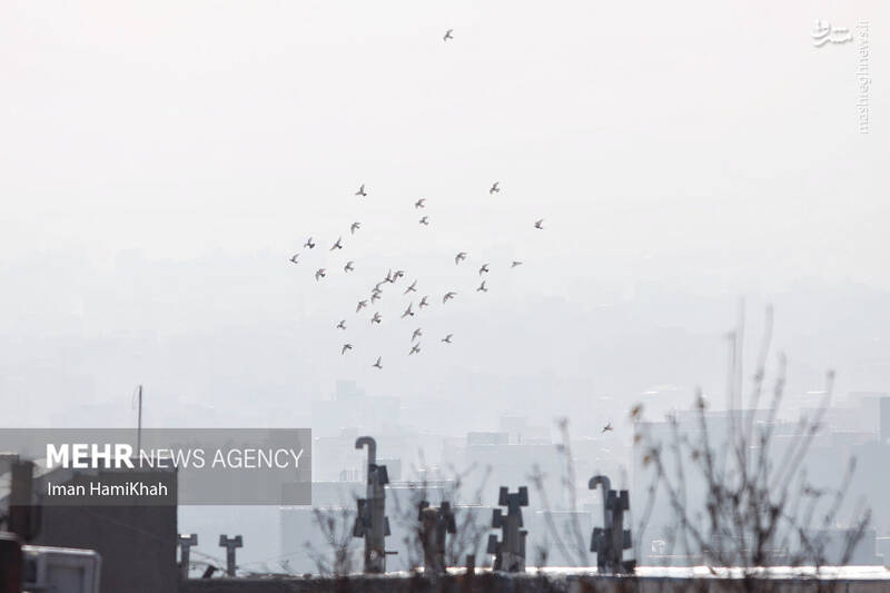 عکس / پدیده آلودگی هوا در همدان 22