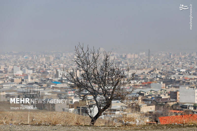 عکس / پدیده آلودگی هوا در همدان 14