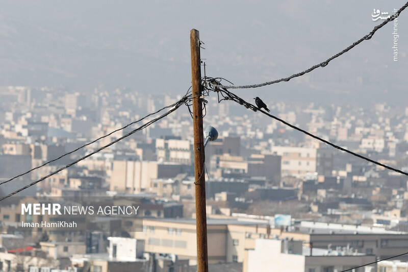 عکس / پدیده آلودگی هوا در همدان 12