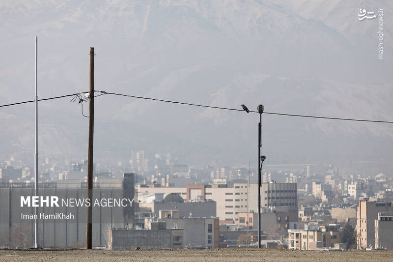 عکس / پدیده آلودگی هوا در همدان 8