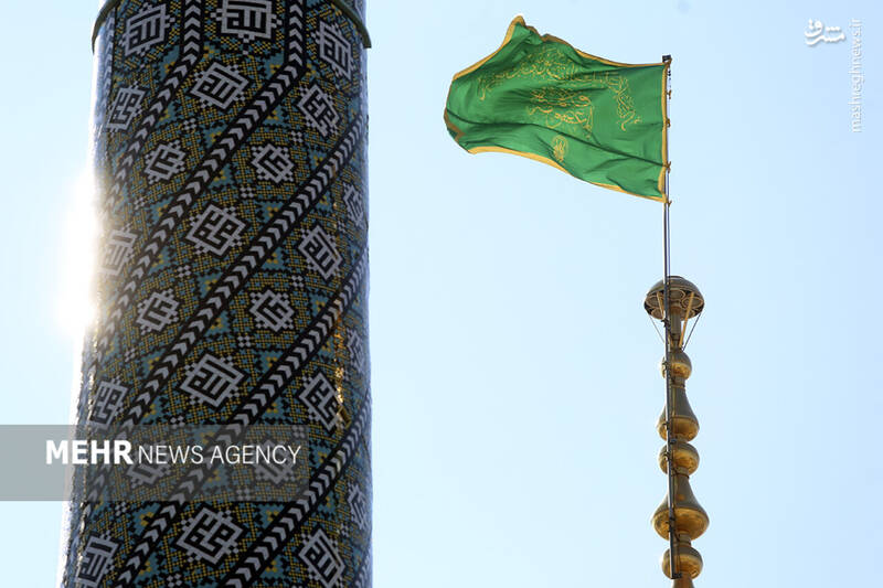 عکس / حال و هوای حرم حضرت معصومه (س) در روز ولادت امام علی (ع) 16