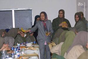 دعوت از مقامات بازنشسته اطلاعاتی به مقر ترورریستی اشرف چقدر آب میخورد؟/ پولپاشی میمونهای دست آموز پیش پای مقامات آمریکایی + سند