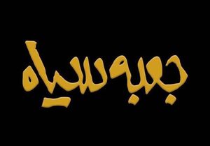 اطلاعیهای درباره حواشی برنامه هادی عامل در شبکه افق
