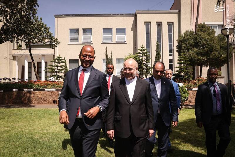 عکس/ کاشت دو اصله نهال توسط روسای مجلس ایران و اتیوپی