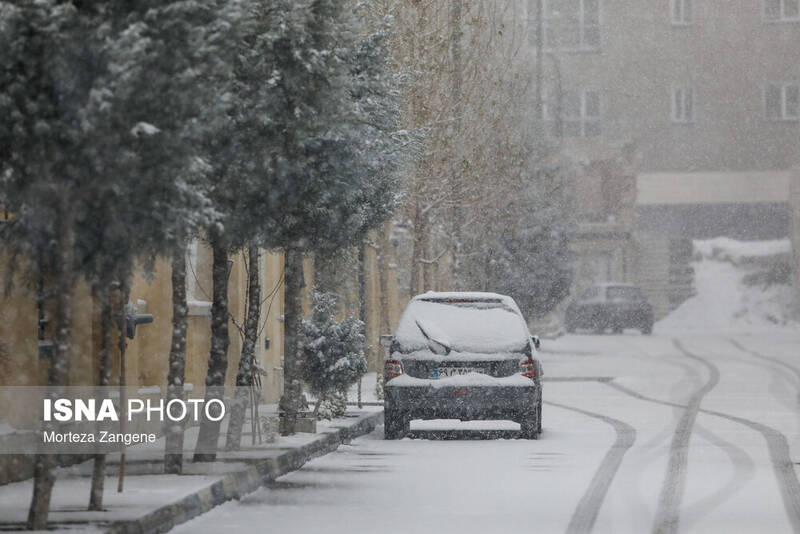 عکس / بارش برف در تهران 11