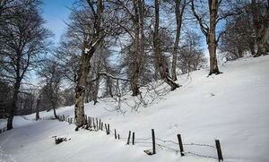 فیلم / بارش برف در روستاهای سیستان‌وبلوچستان