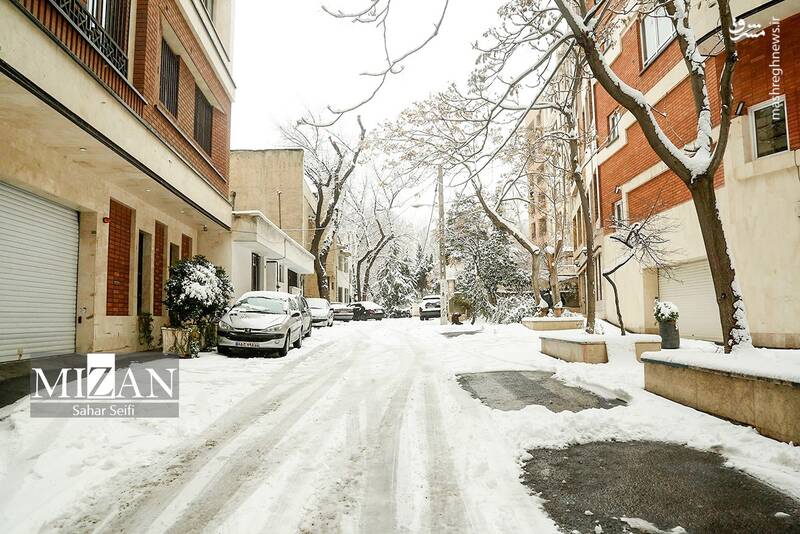 عکس / بارش برف در شمال تهران 23