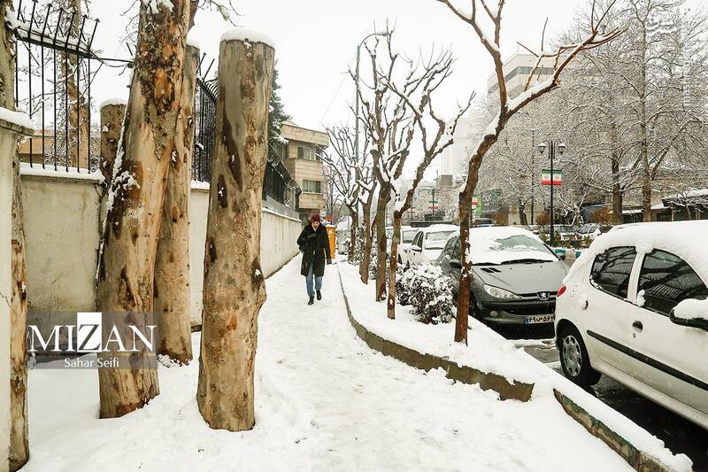 عکس / بارش برف در شمال تهران 13