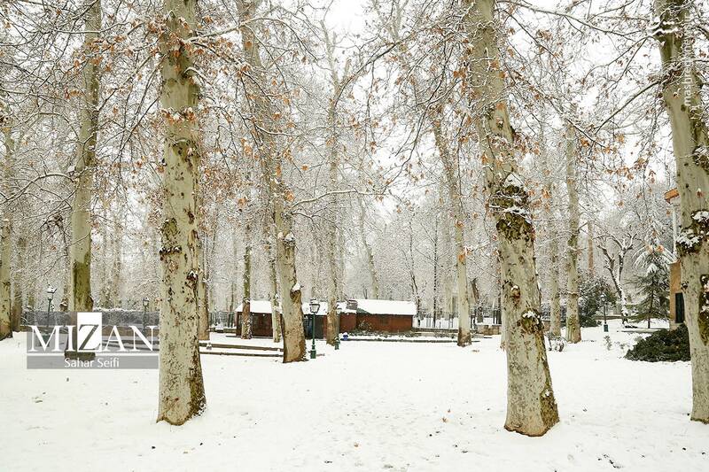 عکس / بارش برف در شمال تهران 6