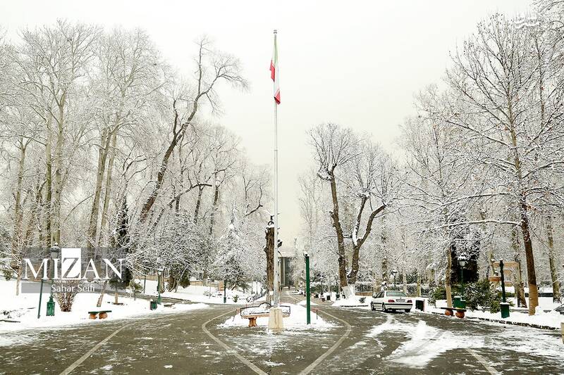 عکس / بارش برف در شمال تهران 5