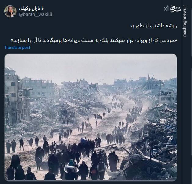 ریشه داشتن به روایت تصویر