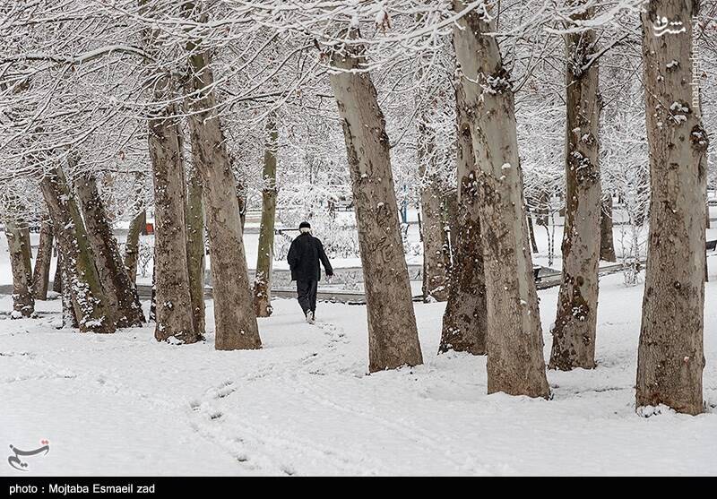 عکس / بارش برف در ارومیه 21