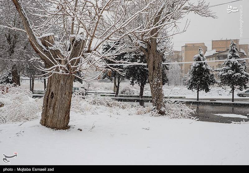 عکس / بارش برف در ارومیه 17