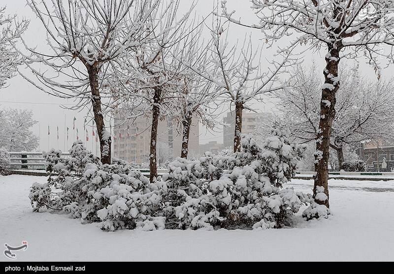 عکس / بارش برف در ارومیه 14