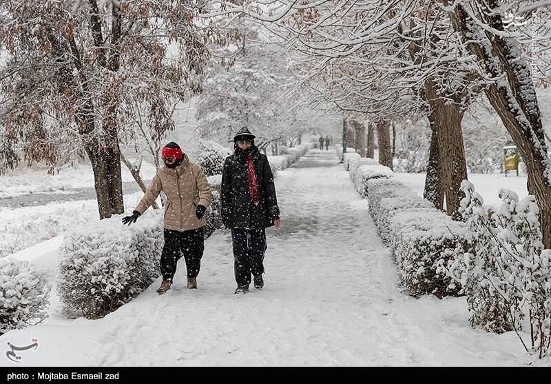 عکس / بارش برف در ارومیه 13