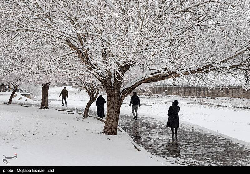 عکس / بارش برف در ارومیه 11