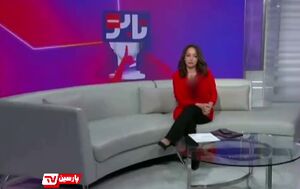 جنگ کفتارها در پخش زنده تلویزیون وزارت خارجه آمریکا+ فیلم