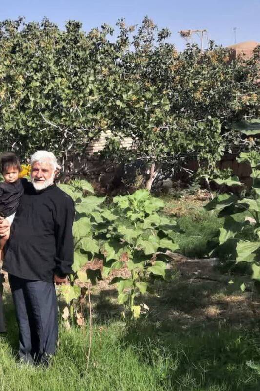 حکمهایی که آقای قاضی را عاقبتبخیر کرد 8