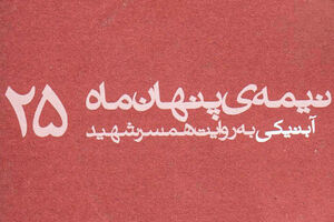 از شوق دیدن امام افتاد توی چاله! کتاب «نیمه پنهان ۲۵» - کراپشده