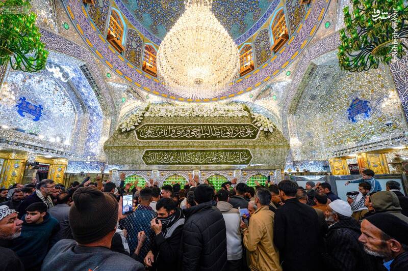 عکس/ گل آرایی ضریح امیرالمومنین در آستانه عید مبعث