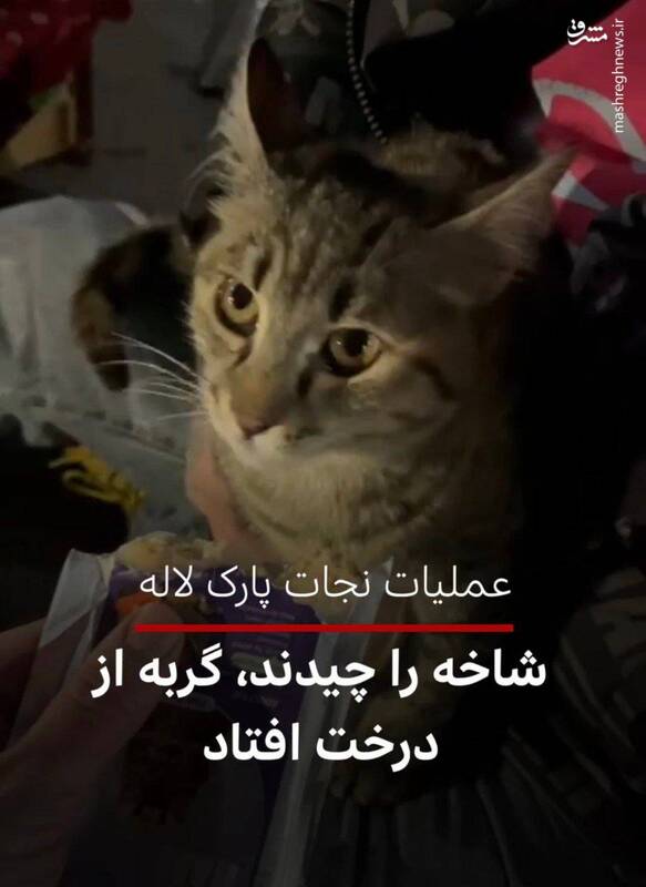 گزارش ویژه BBC فارسی که با مالیات انگلیسیها اداره میشود