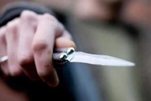 بازداشت عاملان جنایت هولناک در پارک قیطریه