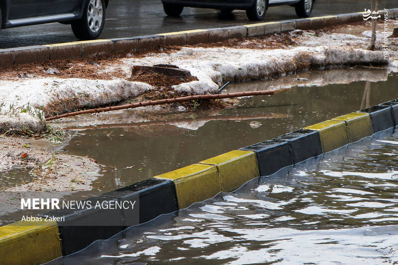 عکس/ بارش باران و تگرگ در بندرعباس