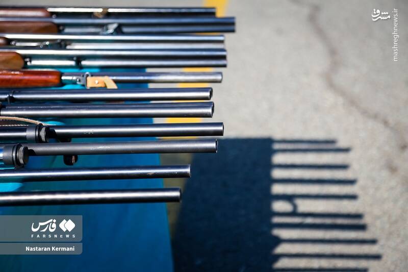 عکس/ سلاحهای کشف شده از سارقان در استان البرز