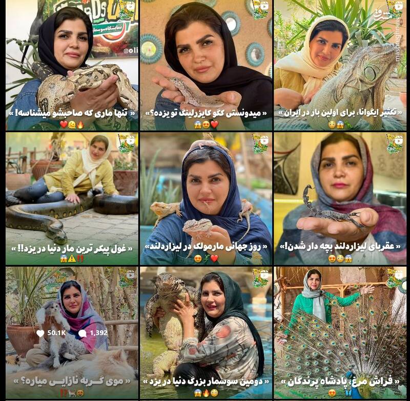 رتیل و عقرب، همبازی جدید بچهها/ چگونه پای حیوانات وحشی به خانه انسانها باز شد/ افزایش علاقه نسل زد و آلفا به همزیستی با حیوانات