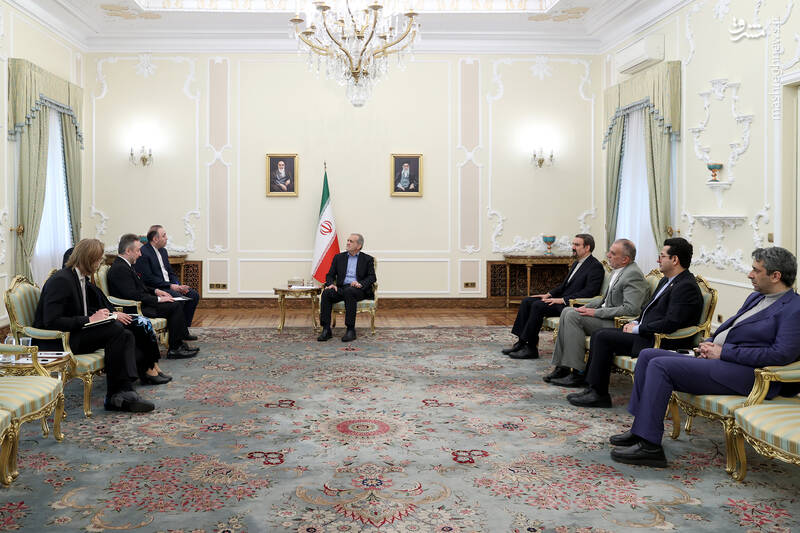 سفیر جدید چک سفیر جدید چک