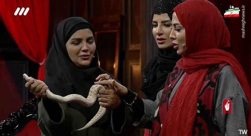 رتیل و عقرب، همبازی جدید بچهها/ چگونه پای حیوانات وحشی به خانه انسانها باز شد/ افزایش علاقه نسل زد و آلفا به همزیستی با حیوانات