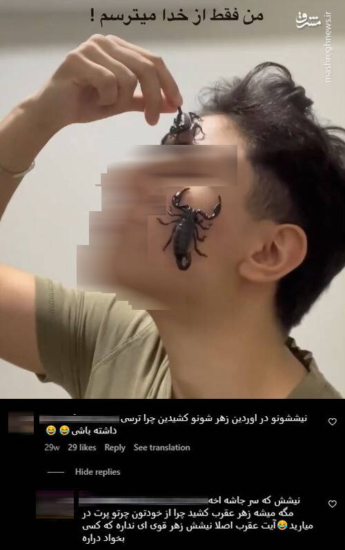 رتیل و عقرب، همبازی جدید بچهها/ چگونه پای حیوانات وحشی به خانه انسانها باز شد/ افزایش علاقه نسل زد و آلفا به همزیستی با حیوانات
