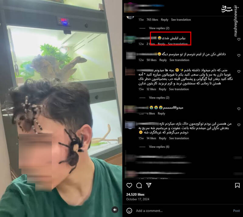 رتیل و عقرب، همبازی جدید بچهها/ چگونه پای حیوانات وحشی به خانه انسانها باز شد/ افزایش علاقه نسل زد و آلفا به همزیستی با حیوانات
