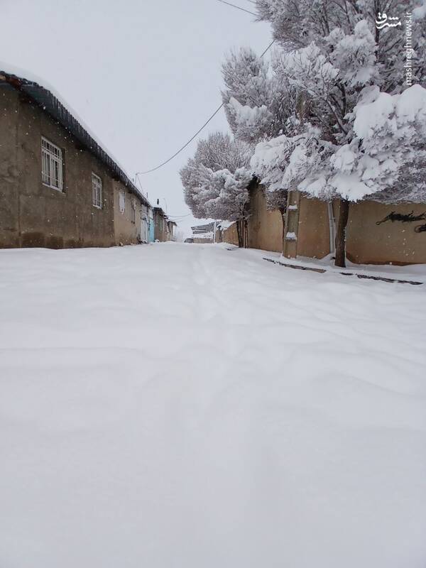 عکس/ بارش سنگین برف در قاراقان قزوین