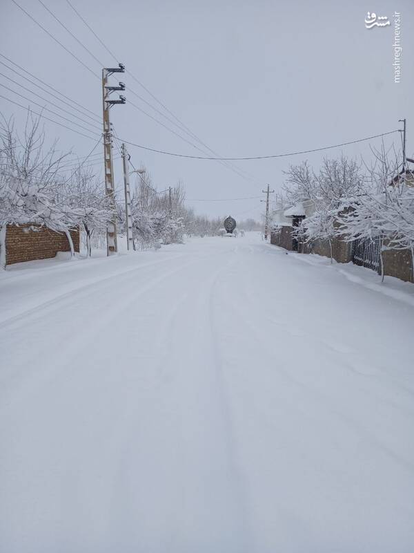 عکس/ بارش سنگین برف در قاراقان قزوین