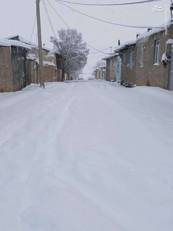 عکس/ بارش سنگین برف در قاراقان قزوین