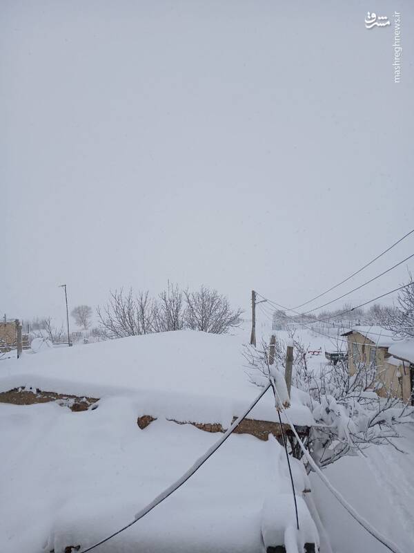 عکس/ بارش سنگین برف در قاراقان قزوین