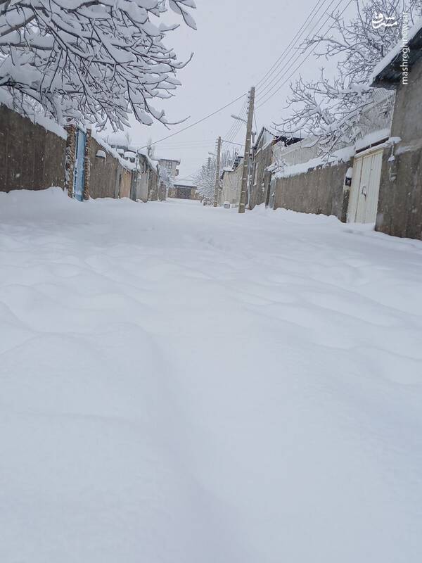 عکس/ بارش سنگین برف در قاراقان قزوین